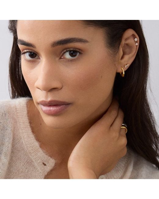 Dinny Hall Metallic Thalassa Chunky Huggie Hoops