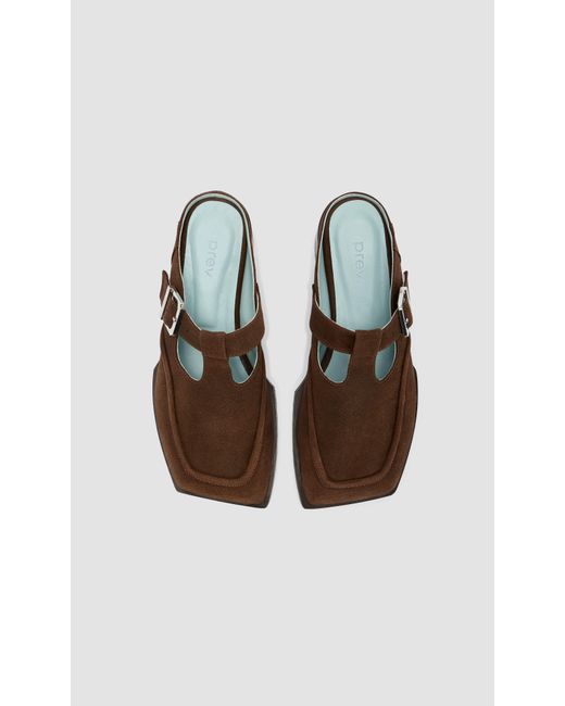 PREVU Brown Lou