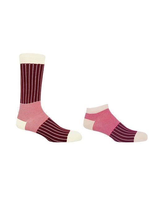 Peper Harow - Made in England Pink Oxford Stripe Burgundy Luxury Crew & Trainer Socks Bundle for men