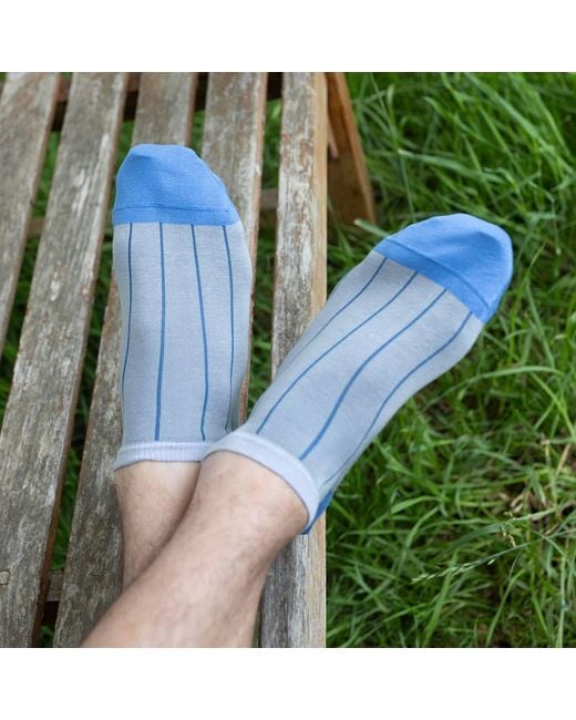 Peper Harow - Made in England Blue Pin Stripe Luxury Crew & Trainer Socks Bundle for men