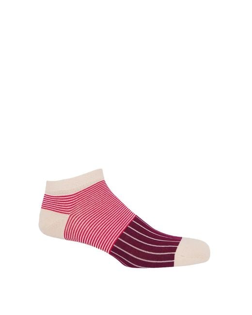 Peper Harow - Made in England Pink Oxford Stripe Burgundy Luxury Crew & Trainer Socks Bundle for men