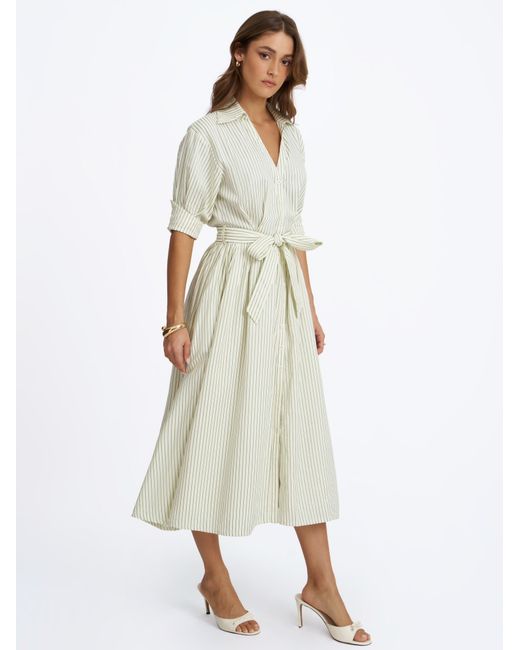 Miss Circle New York Gray Danica Pine Bamboo Poplin Striped Shirt Midi Dress