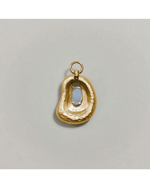 Onia Metallic Amla Pulp Charm