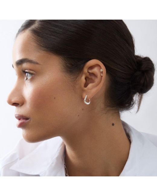 Dinny Hall Metallic Thalassa Chunky Huggie Hoops