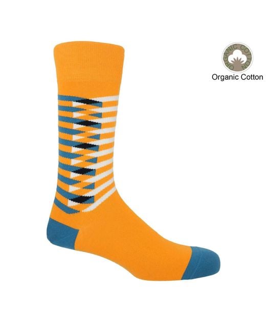 Peper Harow - Made in England Blue Symmetry Organic Socks – Bundle for men