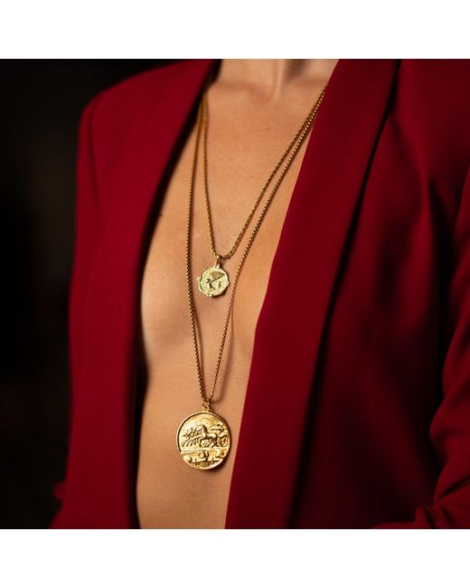 Ebru Jewelry Metallic Alexander's Victory Medallion Necklace