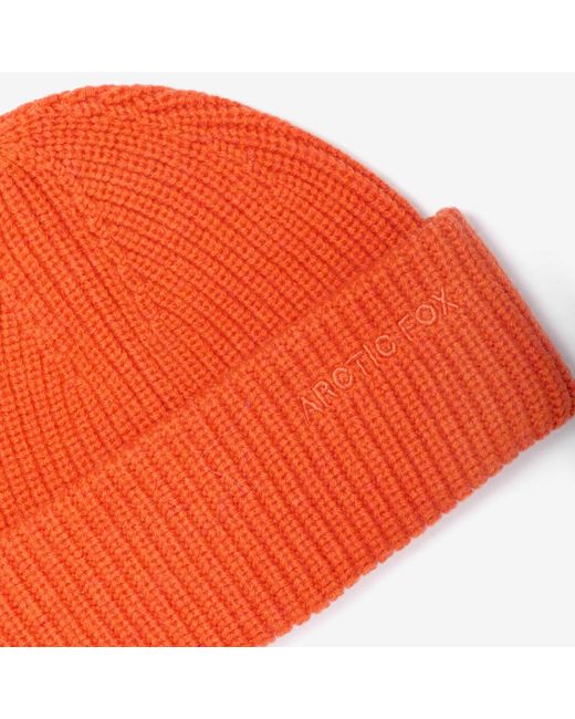 Arctic Fox & Co. Embroidered Merino Wool Beanie