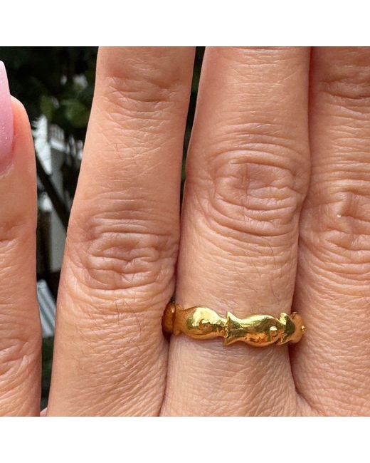Lexi Jewelry Metallic Fishes All Around Ring