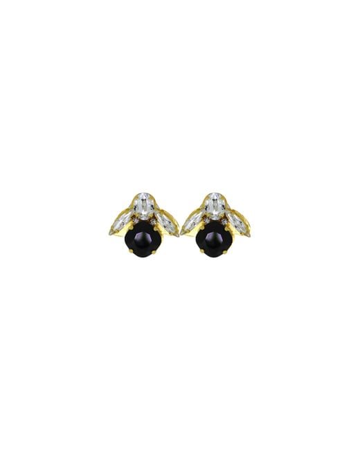 Vicki Sarge Black The Baby Bee Earrings