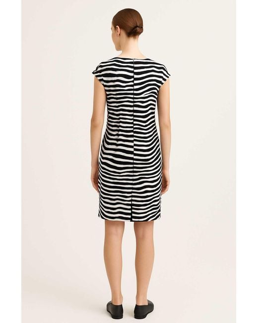 Conquista Black Dark & Abstract Zebra Print Dress