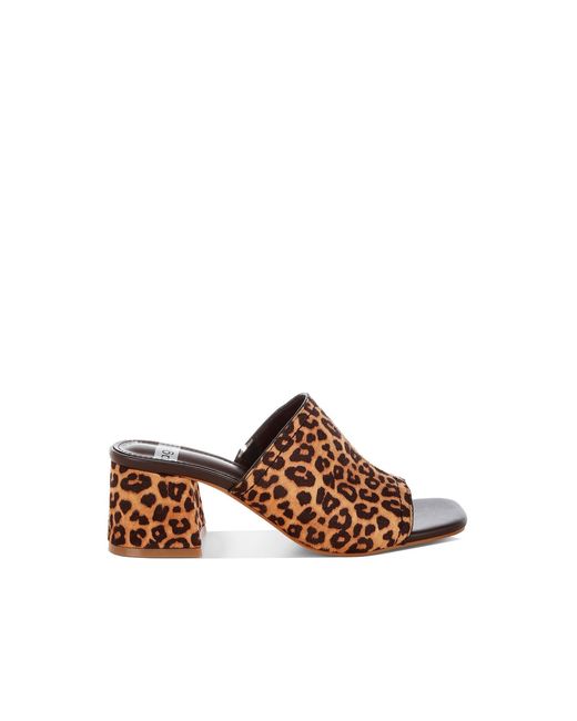 Rag & Co Brown Carmila Square Toe Block Heels