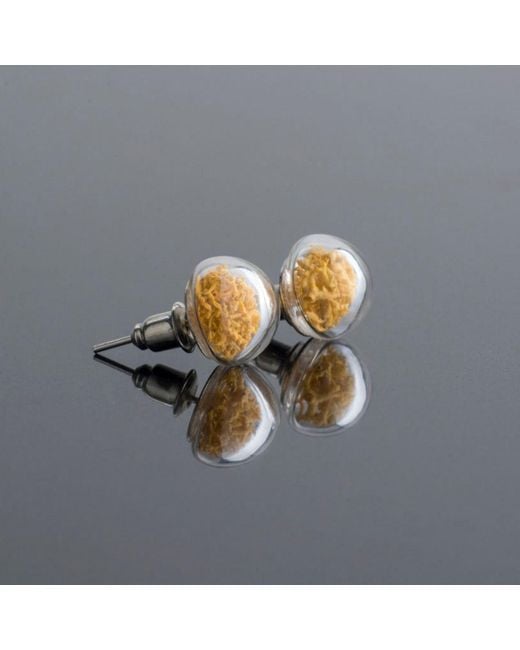 My Little Nature Metallic Handcrafted Stud Glass Earrings With Natural Moss