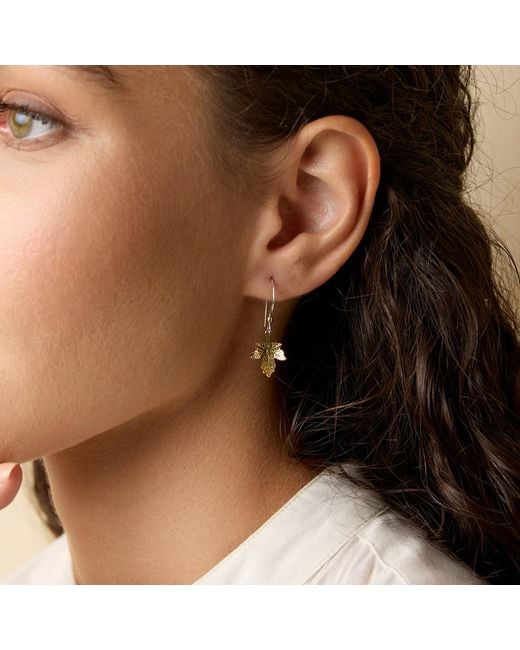 Isla Silver Metallic Vermeil Maple Leaf Drop Earrings