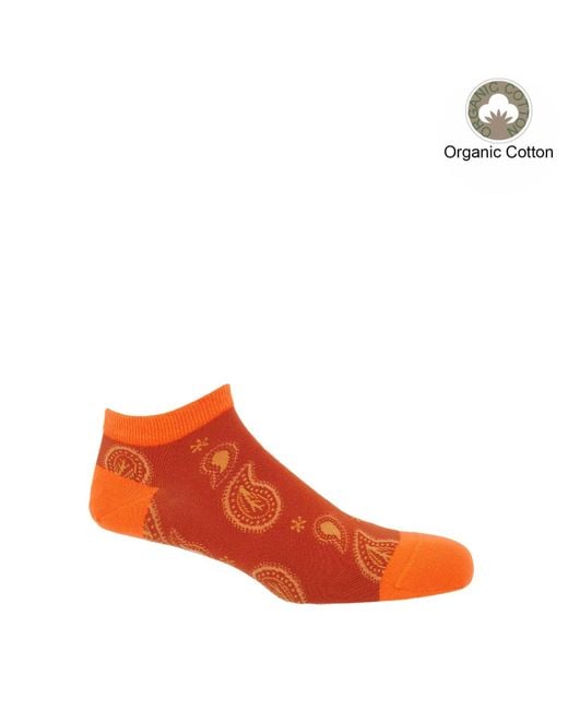 Peper Harow - Made in England Orange Organic Trainer Socks Bundle – for men