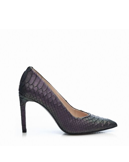 Mariano Shoes Blue Pavia Pumps Lilac