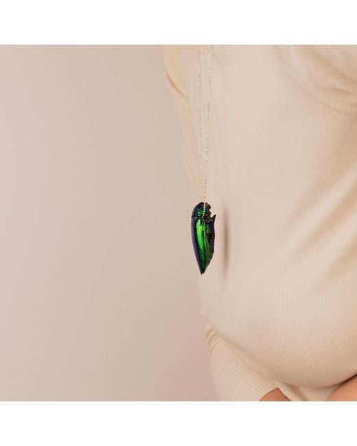 Oana Savu Green Sterling Necklace Real Beetle Insect Pendant