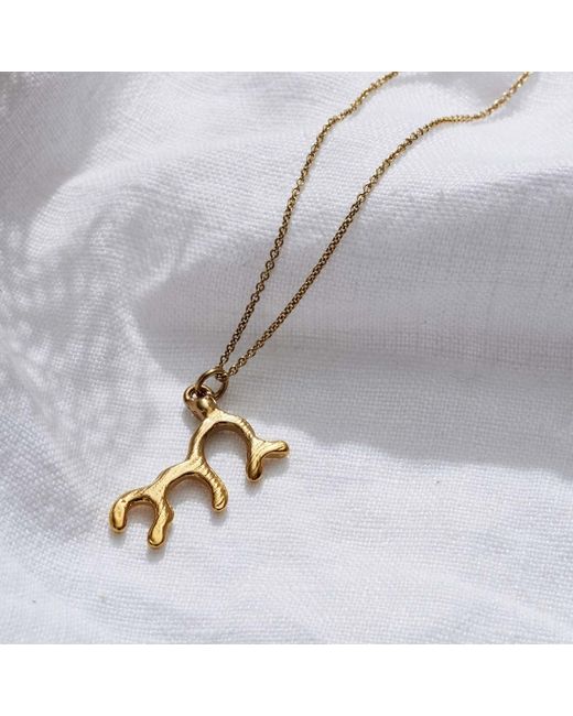 Posh Totty Designs Metallic Coral Necklace for men