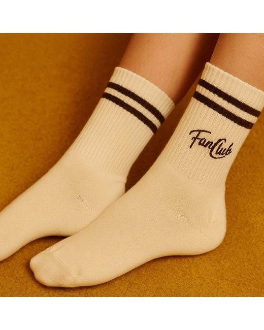 Fanclub Gray Neutrals The Club Member Sock