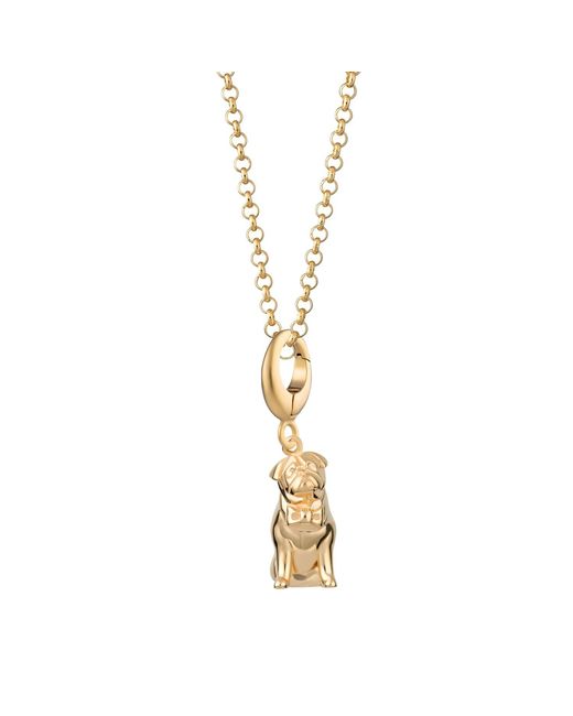 Lily Charmed Metallic Plated Pug Charm Necklace