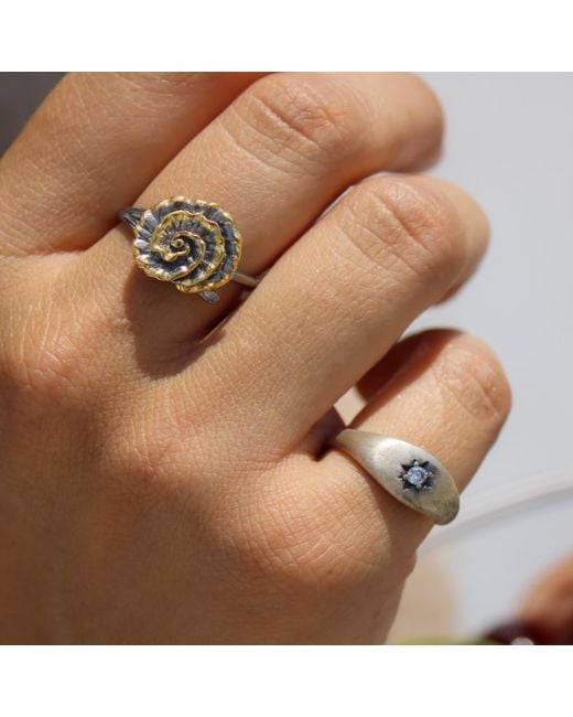 1610Istanbul Metallic Polaris Ring