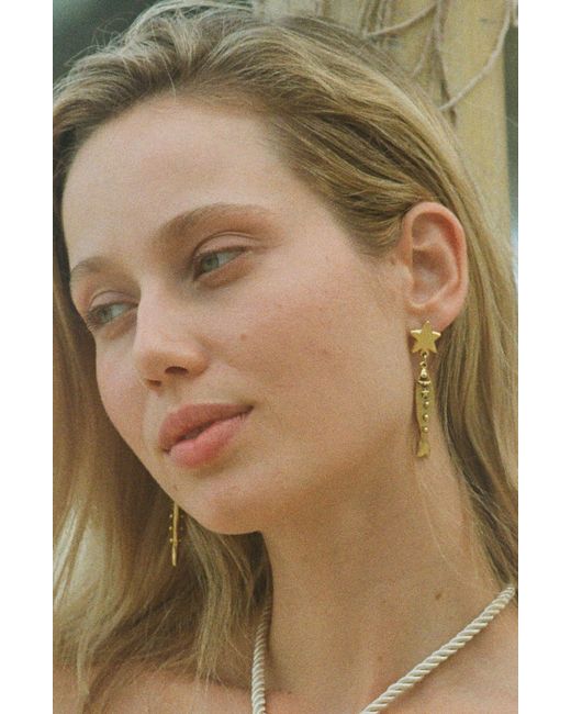 Sccollection Metallic Finn Fish Earrings