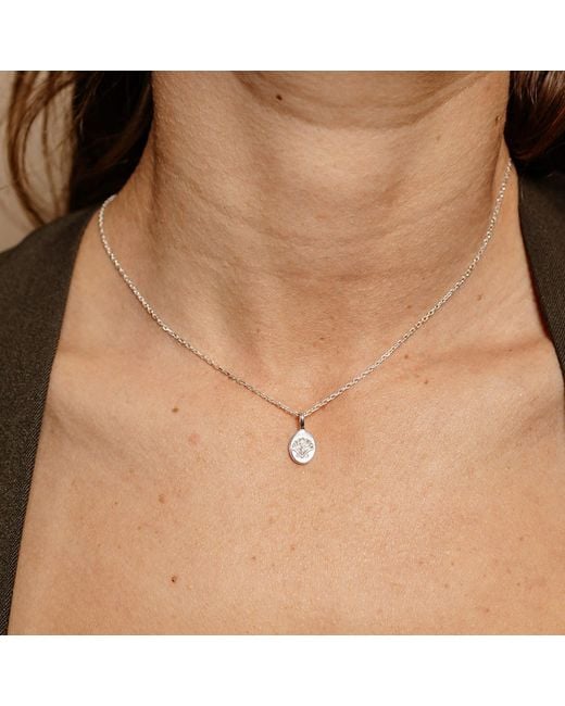 Zoe & Morgan Metallic Secret Society Of Shell Lovers Necklace
