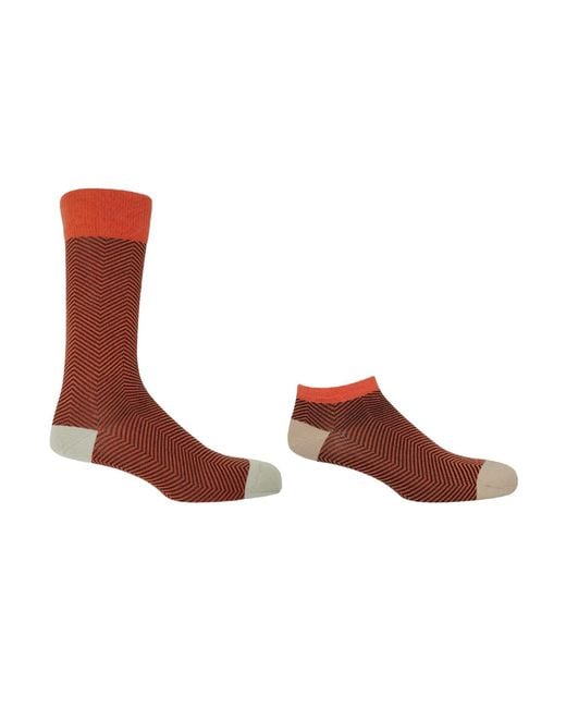 Peper Harow - Made in England Brown Lux Taylor Luxury Crew & Trainer Socks Bundle for men