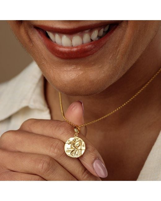 Lily Charmed Metallic Plated Aquarius Zodiac Charm Necklace