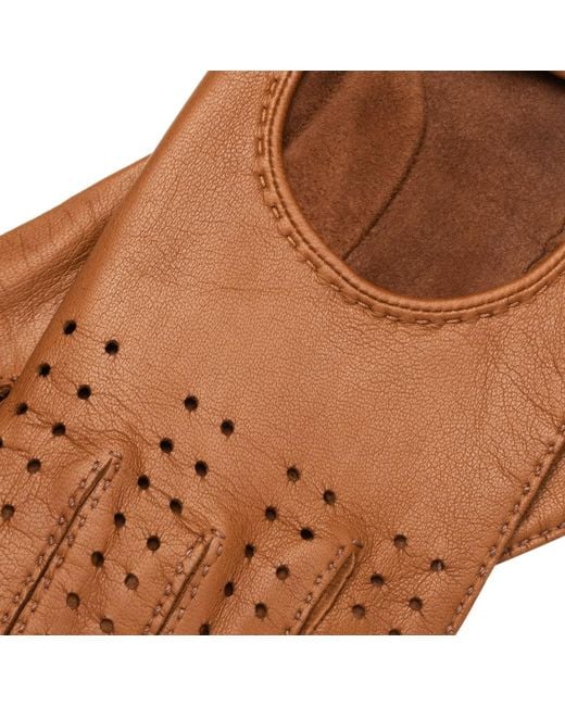 1861 Glove Manufactory Brown Monza for men