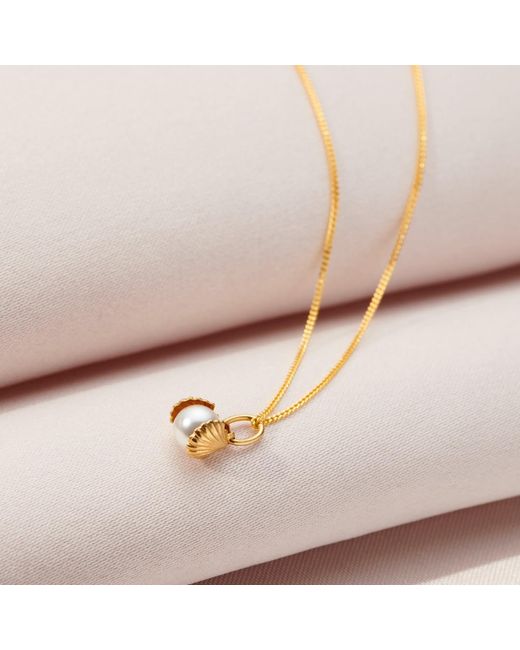 Posh Totty Designs Metallic Gold Pearl & Shell Charm Necklace