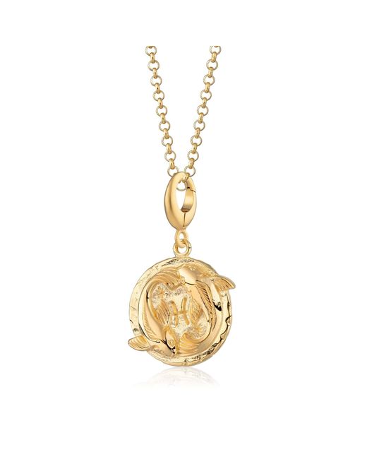 Lily Charmed Metallic Plated Pisces Zodiac Charm Necklace