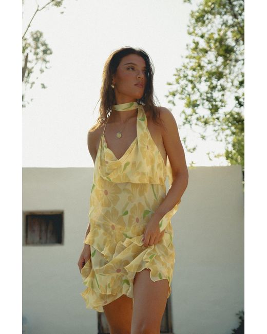 Wild Lovers Metallic Sundance Dress
