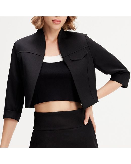 Smart and Joy Blue Minimalist Crop Jacket