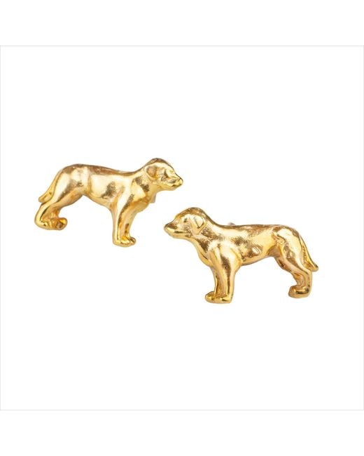 Simon Kemp Jewellers Metallic Golden Labrador Stud Earrings Eighteen Carat On Solid Sterling