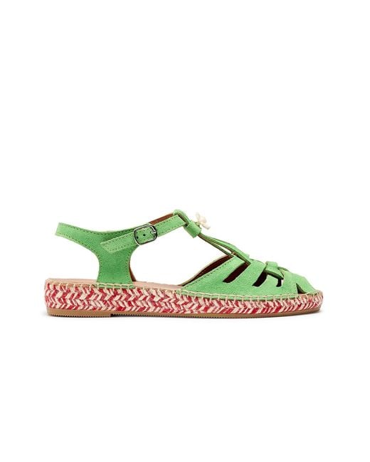 Naguisa Green Musel Bicolor