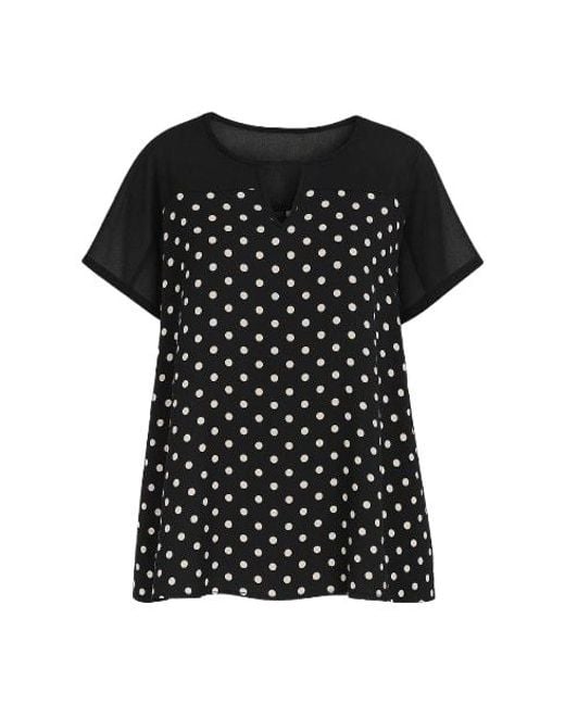 Conquista Black Polka Dot Top