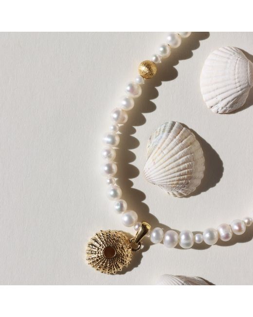Larsuu Metallic Sea Halo Necklace
