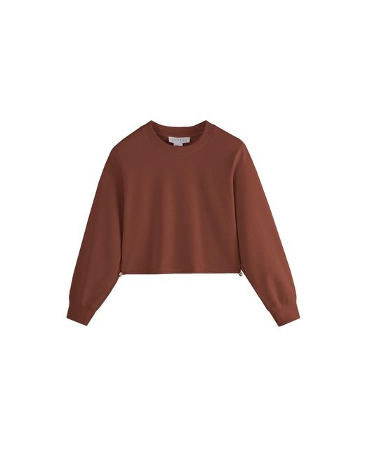 Supesu Brown Cubby Sweater, Cropped