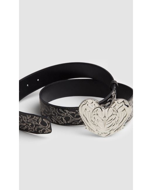 PREVU Black Regan Belt