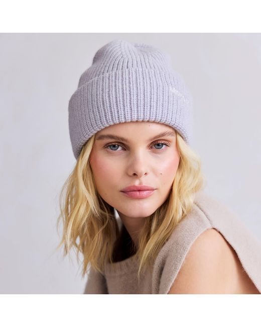 Arctic Fox & Co. Gray Embroidered Merino Wool Beanie