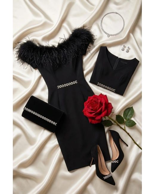 Luna Fashion House Black Feather Trim Dress, Dora