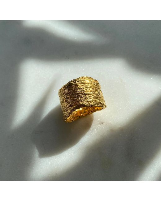 EVA REMENYI Metallic Archaic Ring