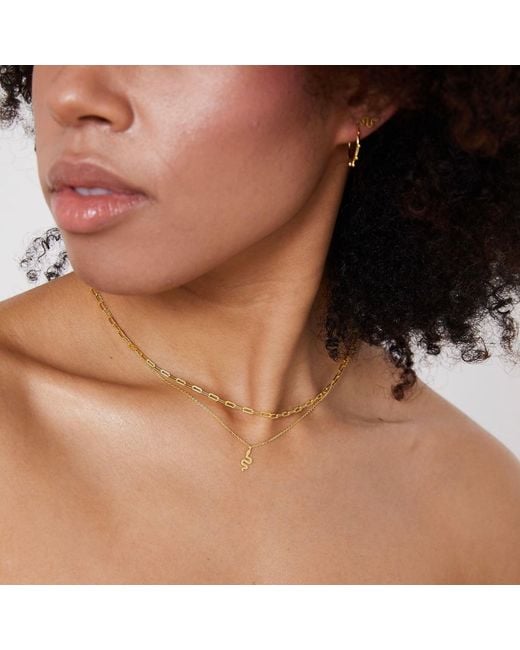 Bermuda Watch Company Metallic Annie Apple Rio Sterling Silver, Gold Vermeil Winding Snake Pendant Charm Necklace