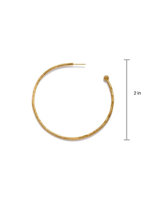Jaredjamin White Small Hooptastic Hoop Post Earrings