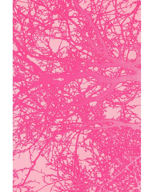 Mercy Delta Pink Pembroke Dress Bay Breeze Bubblegum