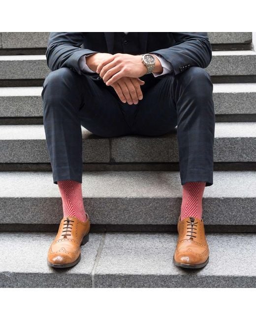 Peper Harow - Made in England Black Lux Taylor & Peace Socks Two Pack for men