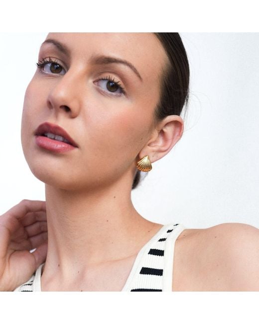 Miss Cecilia Metallic Shell Ear Studs