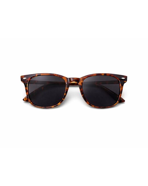 Hortons England Black Tortoiseshell Sunglasses