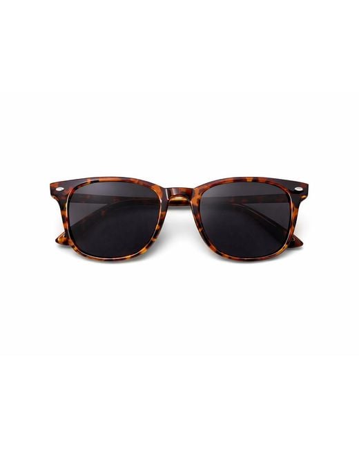 Hortons England Black Tortoiseshell Sunglasses