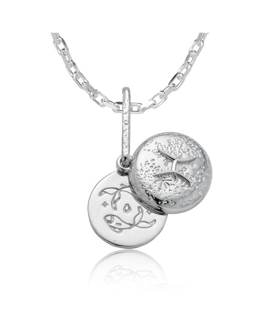 Cartography Metallic Pisces Zodiac Locket Necklace